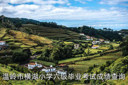 橫湖小學(xué)，溫嶺市橫湖小學(xué)六級畢業(yè)考試成績查詢