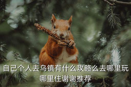 自己個人去烏鎮有什么攻略么去哪里玩哪里住謝謝推薦