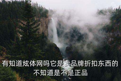 炫體網，有知道炫體網嗎它是賣品牌折扣東西的不知道是不是正品