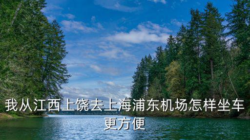 我從江西上饒去上海浦東機場怎樣坐車更方便