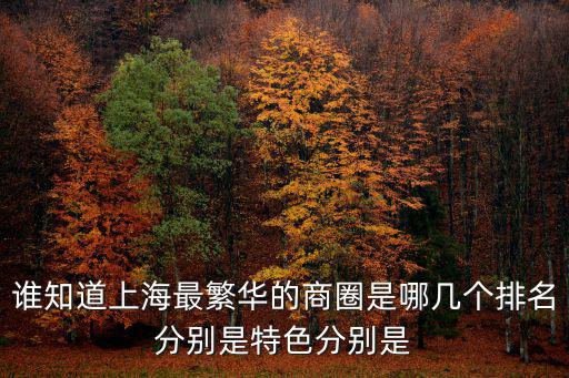 誰知道上海最繁華的商圈是哪幾個排名分別是特色分別是