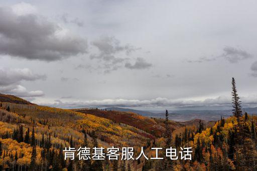 肯德基投訴電話，kfc的投訴電話是多少
