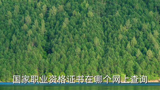 國家職業資格證書在哪個網上查詢