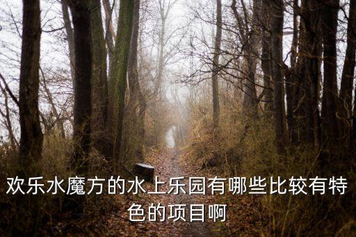 歡樂水魔方的水上樂園有哪些比較有特色的項目啊