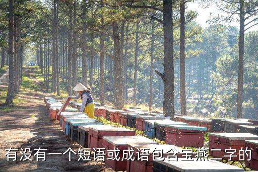 寶燕，有沒有一個(gè)短語或成語包含寶燕二字的