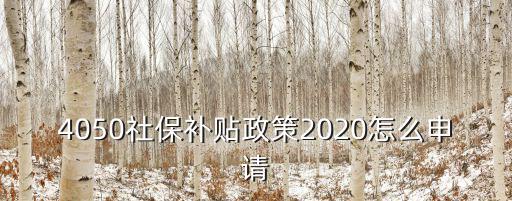 4050社保補(bǔ)貼政策2020怎么申請(qǐng)
