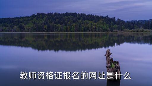 教師資格證報名的網址是什么