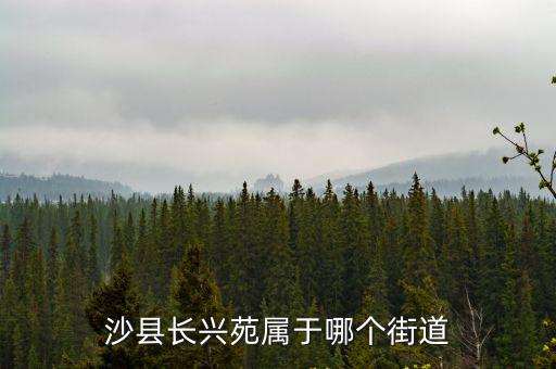 沙縣長興苑屬于哪個街道