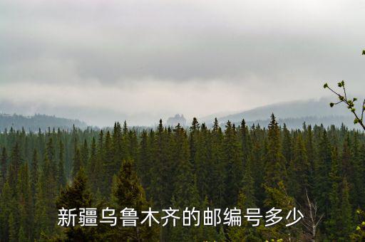 新疆烏魯木齊的郵編號多少