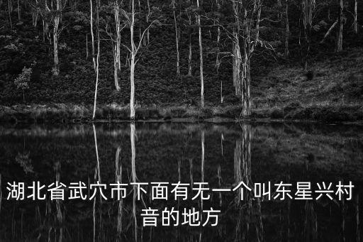 湖北省武穴市下面有無一個叫東星興村音的地方