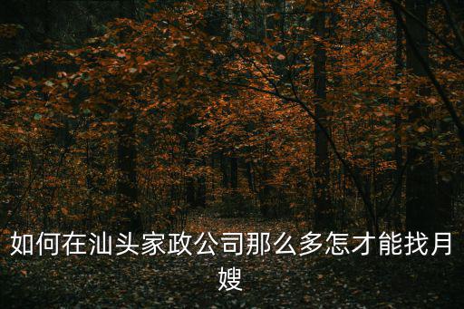如何在汕頭家政公司那么多怎才能找月嫂