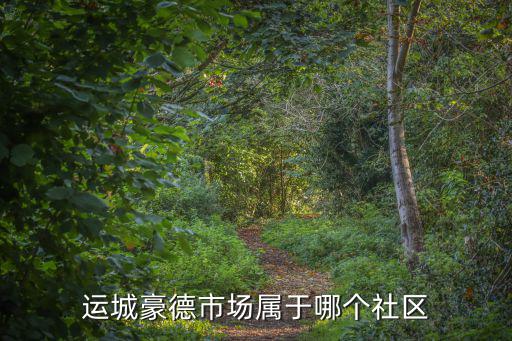 運(yùn)城豪德市場屬于哪個(gè)社區(qū)