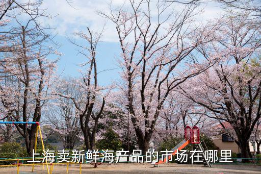 上海海鮮批發市場，上海最大的海鮮批發市場在哪條路上啊