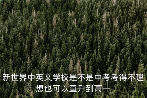 新世界中英文學校是不是中考考得不理想也可以直升到高一