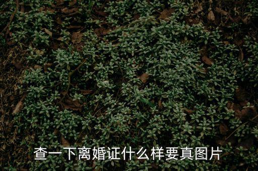 查一下離婚證什么樣要真圖片