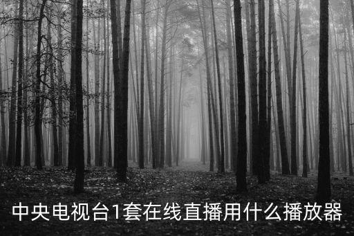 中央電視臺1套在線直播用什么播放器