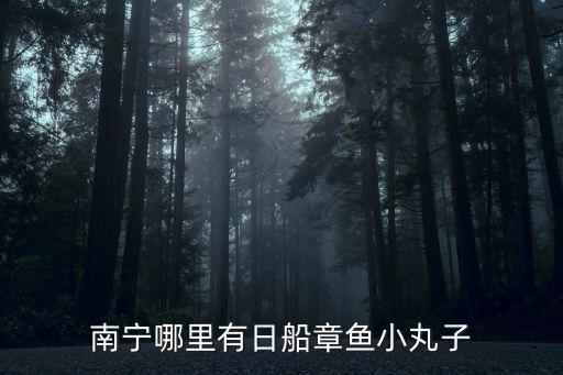 南寧哪里有日船章魚小丸子