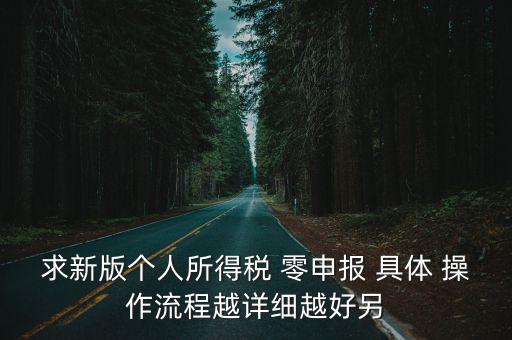 求新版個人所得稅 零申報 具體 操作流程越詳細越好另