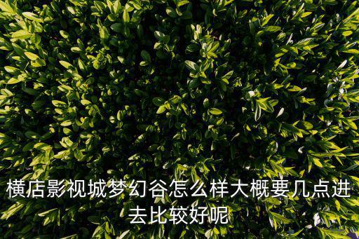 橫店影視城夢幻谷，橫店夢幻谷在那個地方