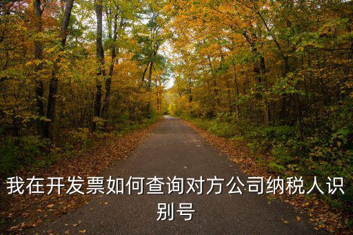 我在開發票如何查詢對方公司納稅人識別號