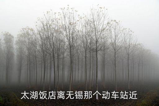 無錫太湖飯店，無錫哪家飯店太湖三白比較好