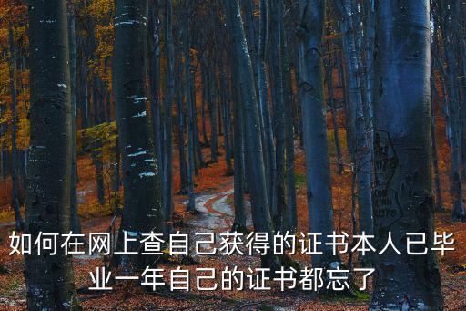 個人證書查詢網(wǎng)，如何在網(wǎng)上查自己獲得的證書本人已畢業(yè)一年自己的證書都忘了