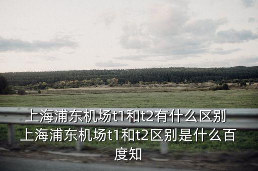 浦東機(jī)場t1，請問浦東機(jī)場與浦東機(jī)場T1有何區(qū)別