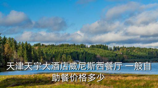 天津天宇大酒店威尼斯西餐廳 一般自助餐價格多少