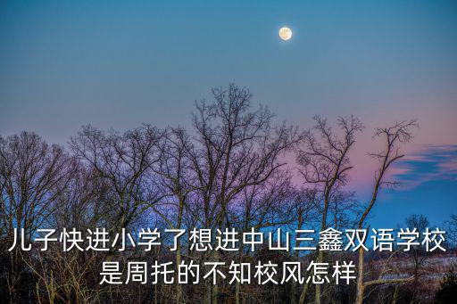 兒子快進小學了想進中山三鑫雙語學校是周托的不知校風怎樣