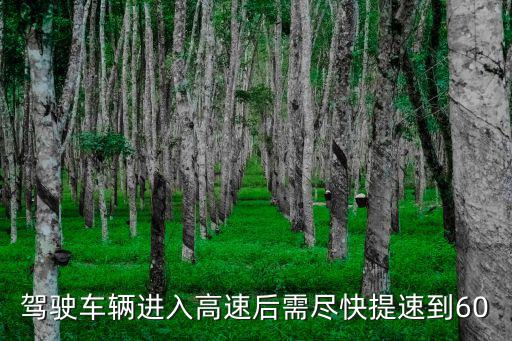 駕駛車輛進(jìn)入高速后需盡快提速到60