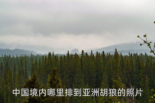 中國境內哪里排到亞洲胡狼的照片
