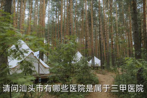 請問汕頭市有哪些醫院是屬于三甲醫院