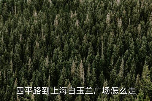 四平路到上海白玉蘭廣場怎么走