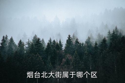 煙臺北大街屬于哪個區