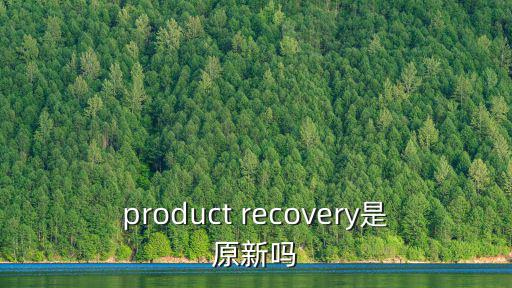 product recovery是原新嗎
