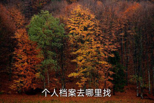 個人檔案去哪里找