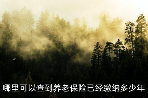 哪里可以查到養老保險已經繳納多少年