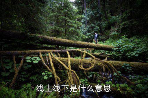 線上線下是什么意思