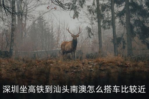 深圳坐高鐵到汕頭南澳怎么搭車比較近