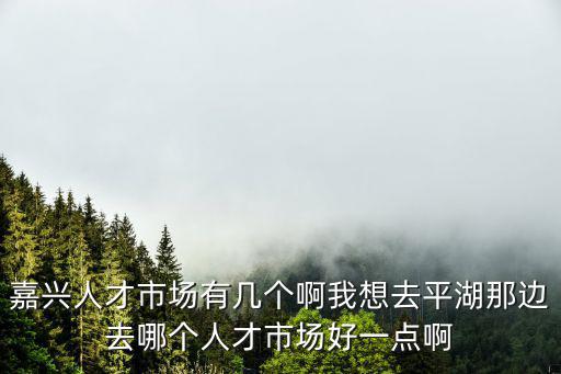 嘉興人才市場有幾個啊我想去平湖那邊去哪個人才市場好一點啊