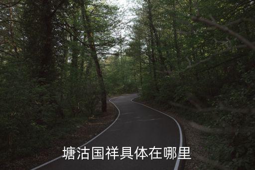 塘沽國祥具體在哪里