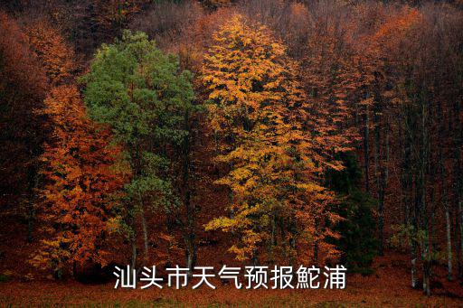 汕頭市天氣預報鮀浦