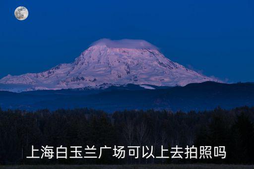 上海白玉蘭廣場可以上去拍照嗎