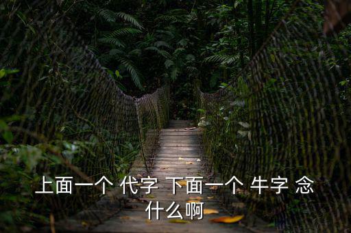 上面一個 代字 下面一個 牛字 念什么啊