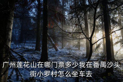 番禺蓮花山莊，蓮花山客運站附近的住宿推薦
