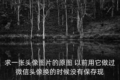 求一張頭像圖片的原圖 以前用它做過微信頭像換的時候沒有保存現