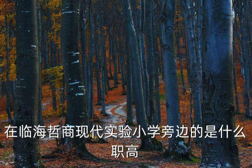 哲商現代實驗小學，臨海哲商現代實驗小學五年級二班數學作業題網站上已經有了嗎  搜