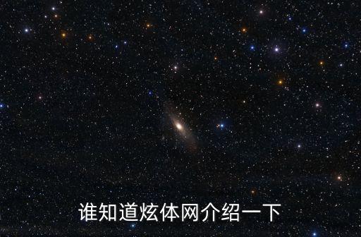 誰知道炫體網介紹一下