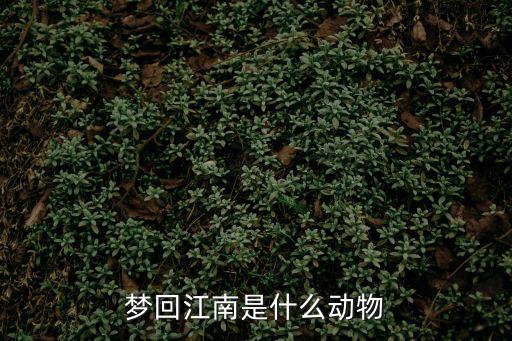 夢回江南，找一本書之前看過的忘了女主在夢里和古代的男主在一起跳樓之后重生到