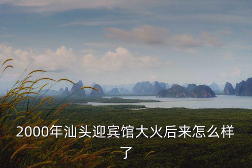 2000年汕頭迎賓館大火后來怎么樣了